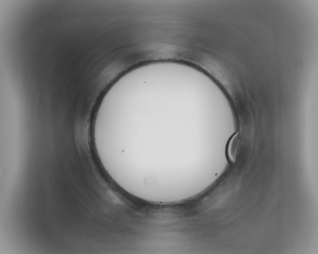 X0000111370485200907311036