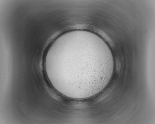 X0000111370486200907311036