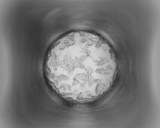 X0000111370487200907311036