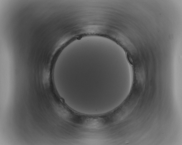 X0000111370488200907311036