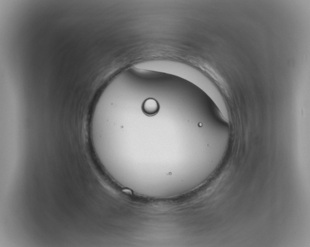 X0000111370489200907311036
