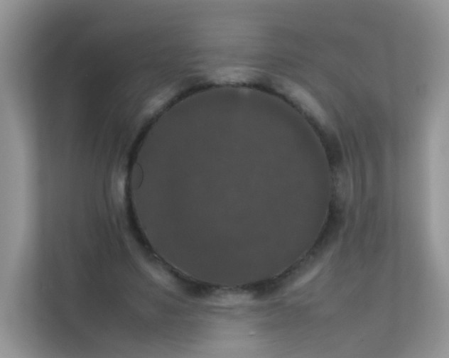 X0000111370491200907311036