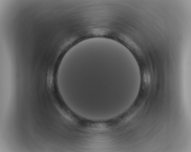X0000111370492200907311036