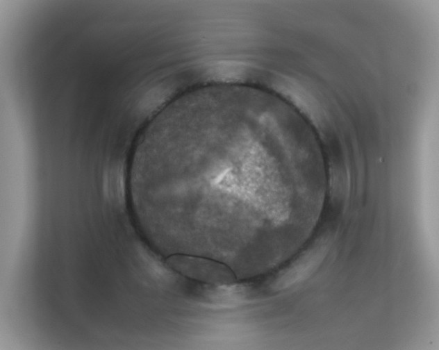 X0000111370493200907311036