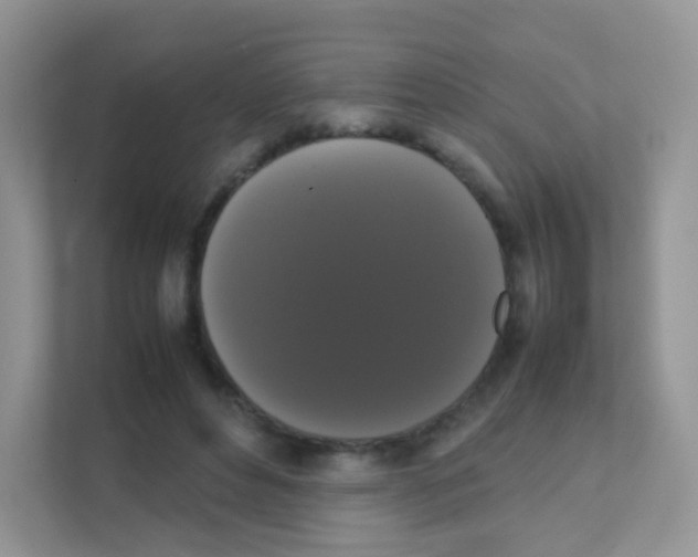 X0000111370496200907311036