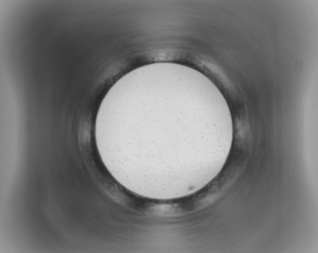 X0000111370499200907311036