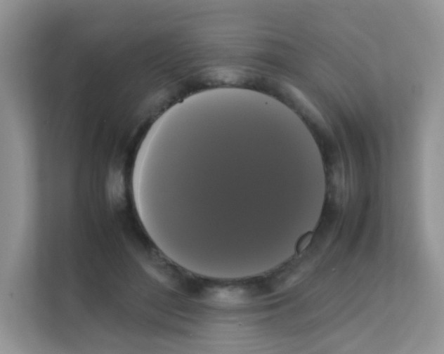 X0000111370500200907311036