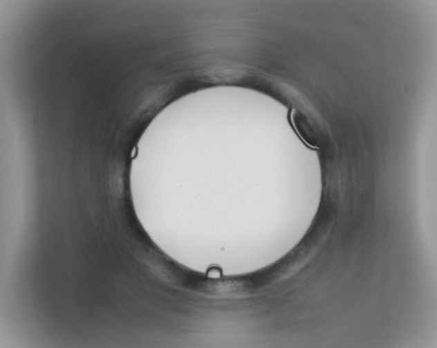 X0000111370501200907311036