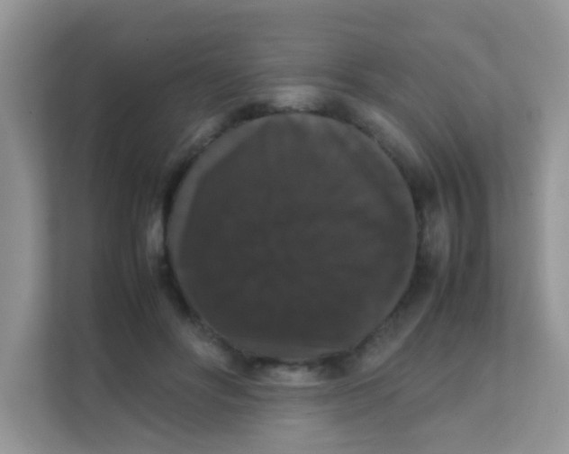 X0000111370502200907311036