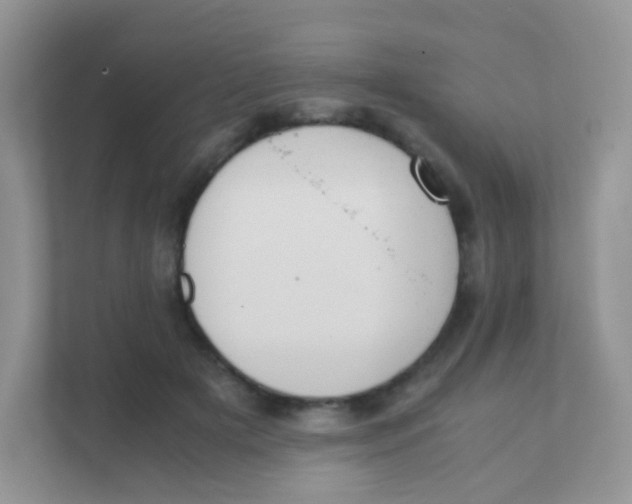 X0000111370505200907311036
