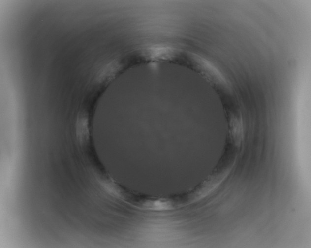 X0000111370506200907311036