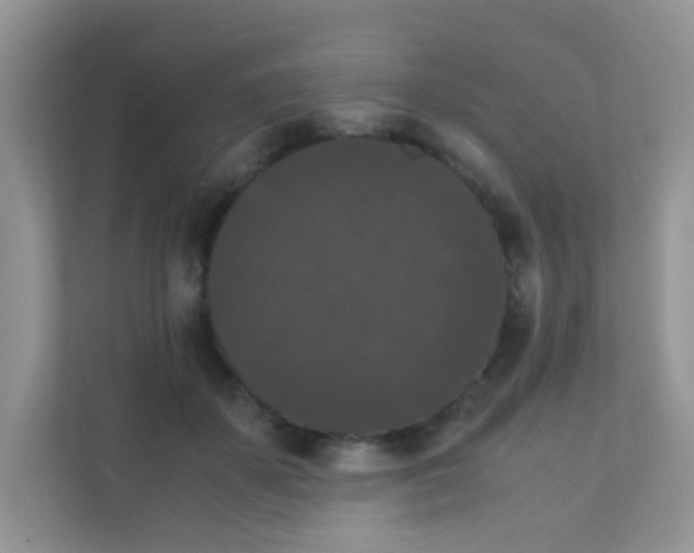 X0000111370507200907311036