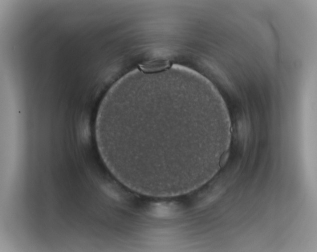 X0000111370508200907311036
