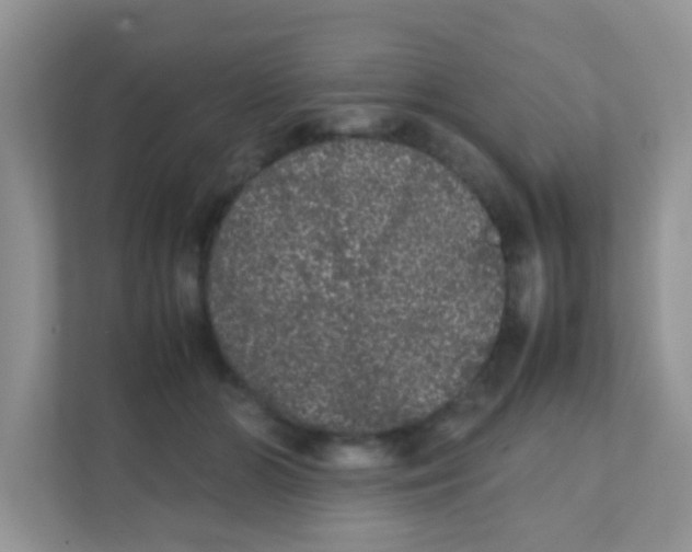 X0000111370510200907311036