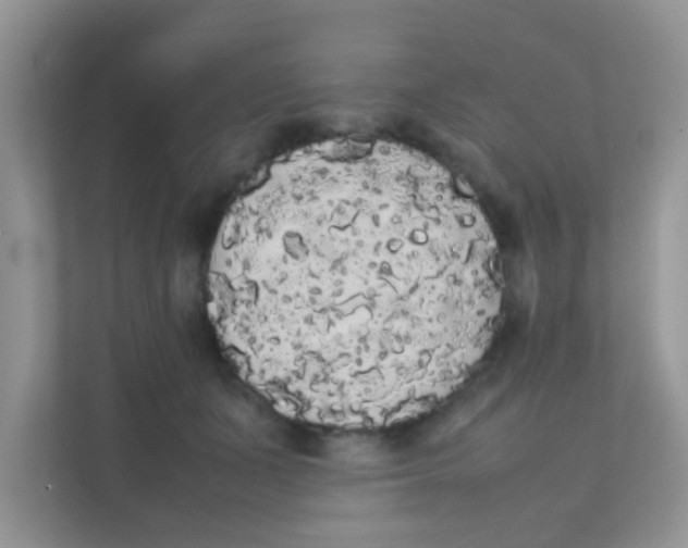 X0000111370511200907311036