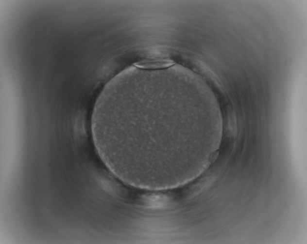 X0000111370512200907311036