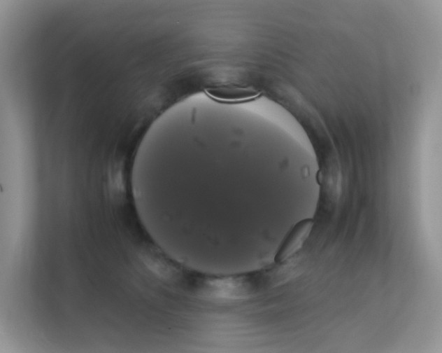 X0000111370516200907311036
