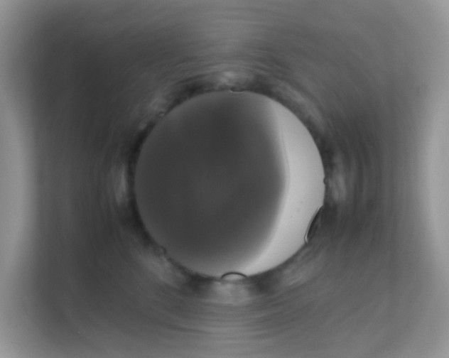 X0000111370520200907311035
