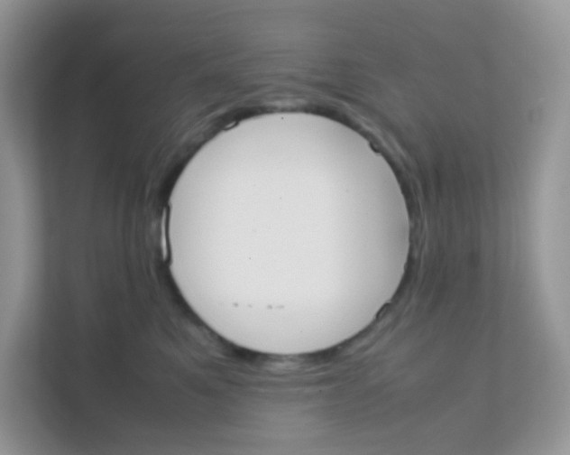 X0000111370521200907311035