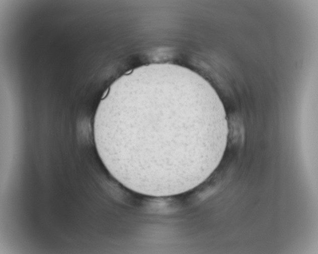 X0000111370523200907311035