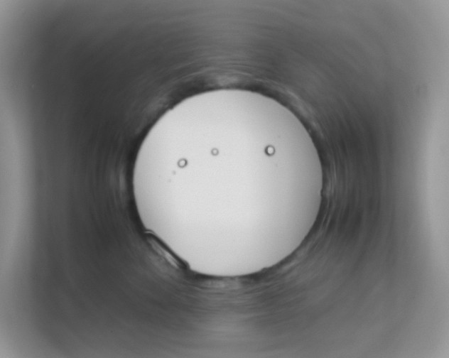 X0000111370524200907311035