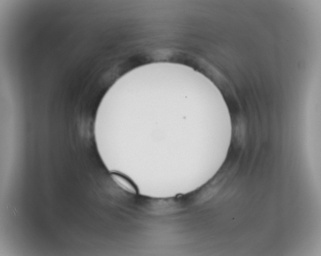 X0000111370525200907311035