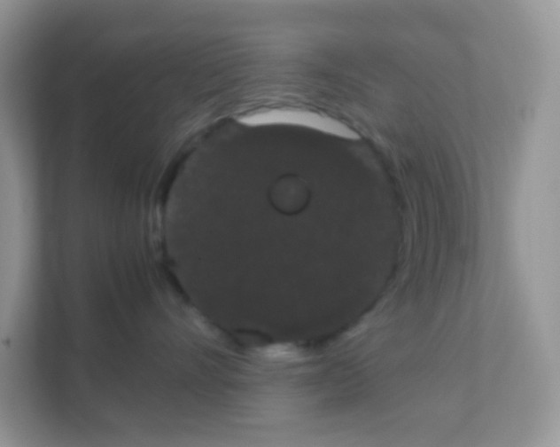 X0000111370528200907311035