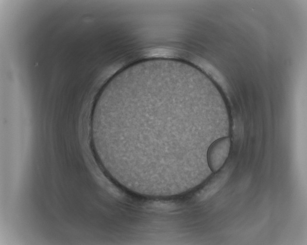X0000111370529200907311035