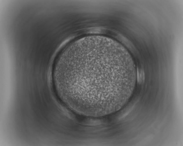 X0000111370531200907311035