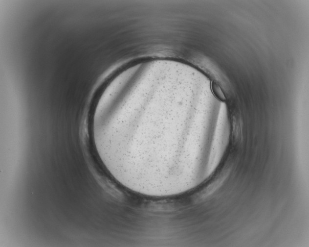 X0000111370532200907311035