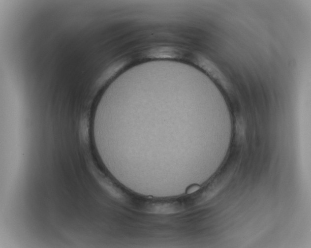 X0000111370533200907311035