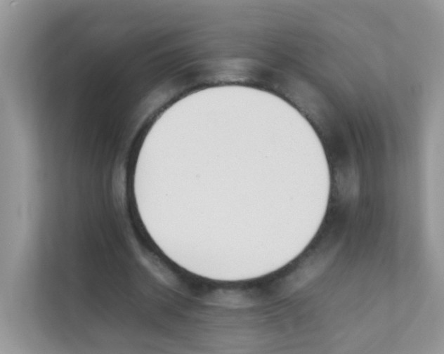 X0000111370534200907311035