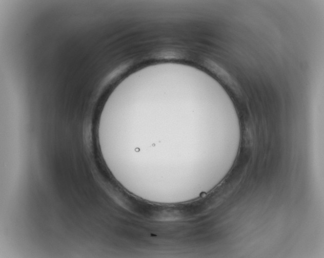 X0000111370535200907311035