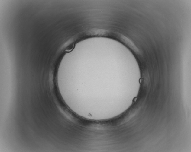 X0000111370538200907311035