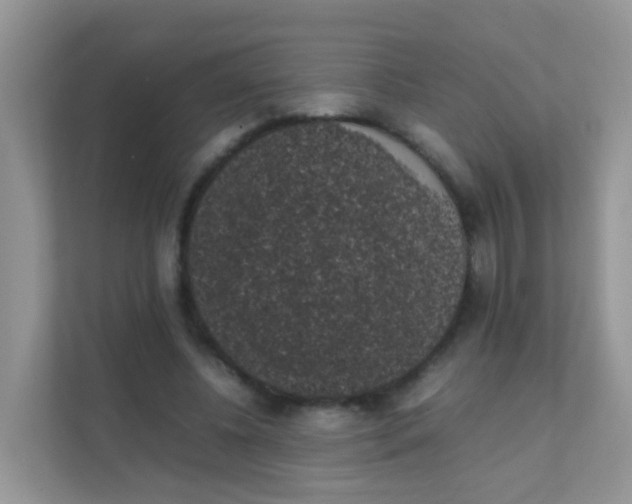 X0000111370540200907311035