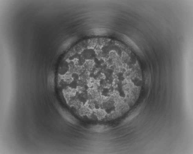 X0000111370542200907311035