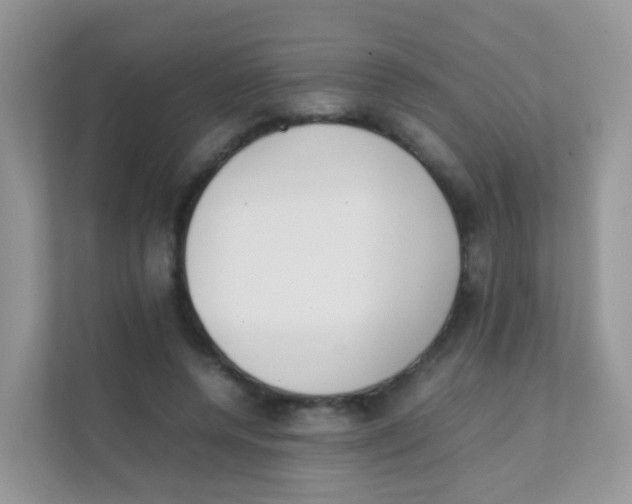 X0000111370544200907311035