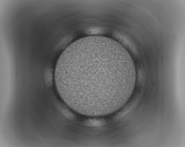 X0000111370545200907311035