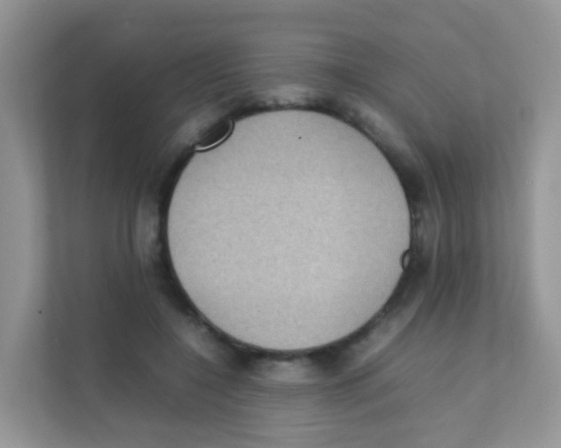 X0000111370548200907311035