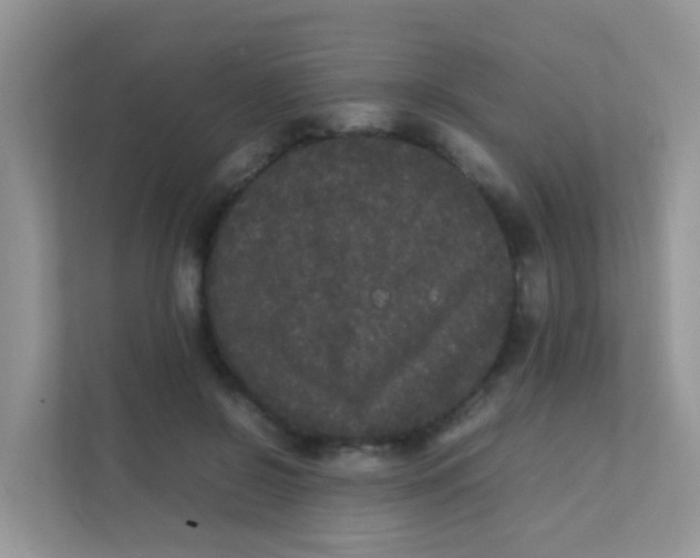 X0000111370550200907311035