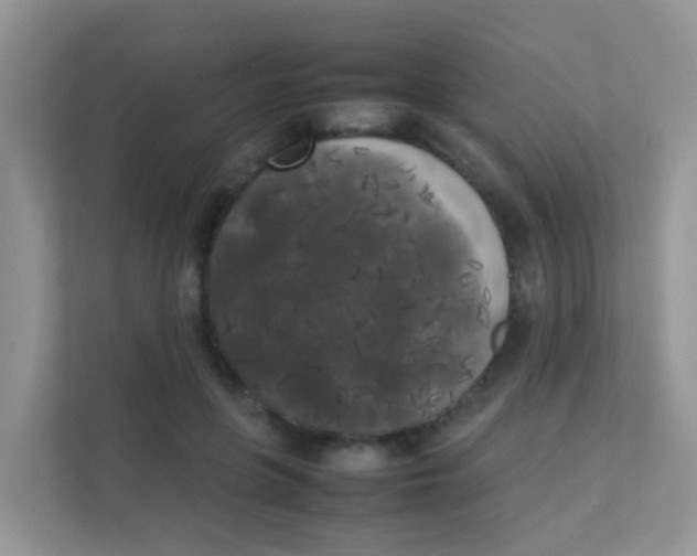 X0000111370551200907311035