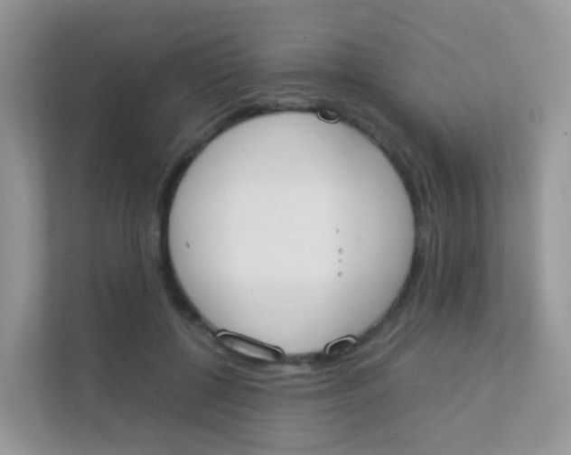 X0000111370552200907311035