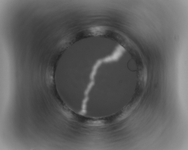 X0000111370553200907311035