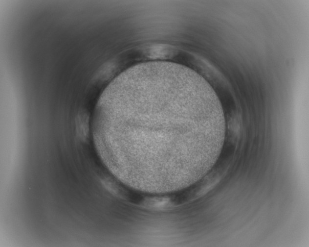 X0000111370554200907311035