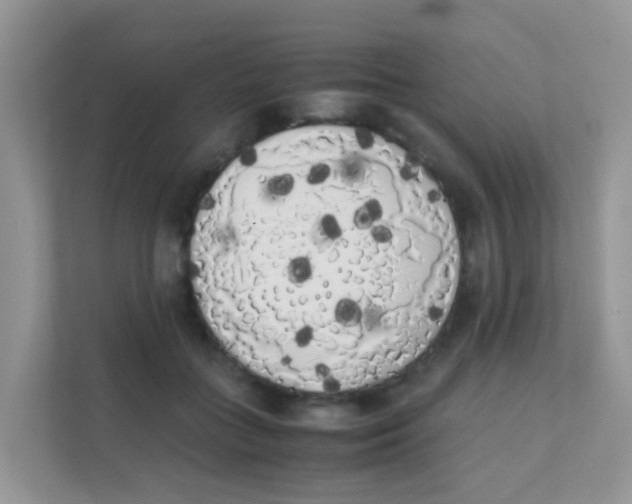 X0000111370555200907311035