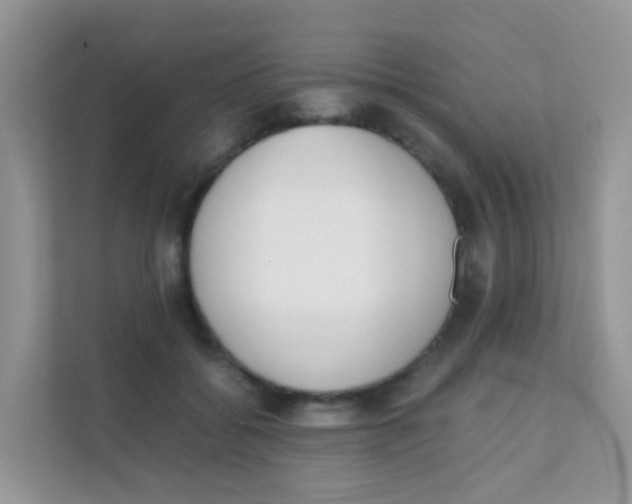 X0000111370556200907311035