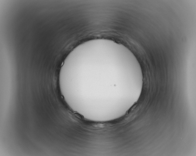 X0000111370558200907311035