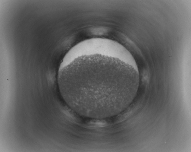 X0000111370559200907311035