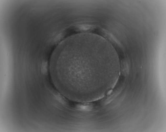 X0000111370563200907311035