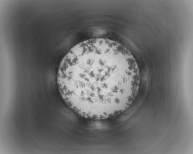 X0000111370565200907311035